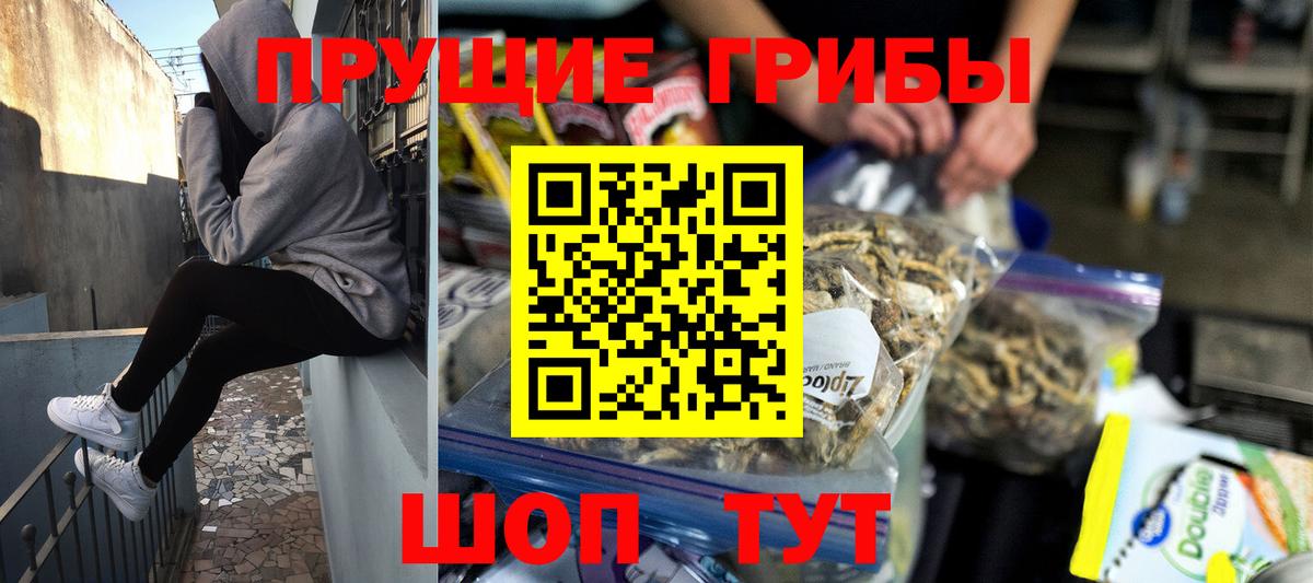 Псилоцибиновые грибы Psilocybe  Вход с VPN  Псилоцибиновые грибы ЛСД  Прохладный 