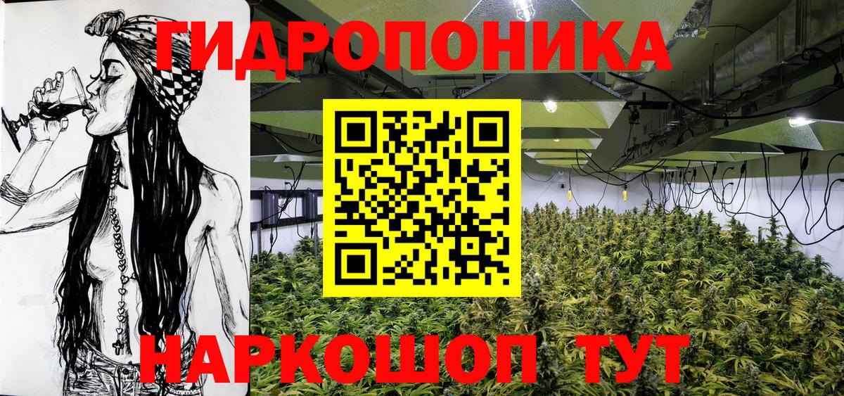 Каннабис план Прохладный